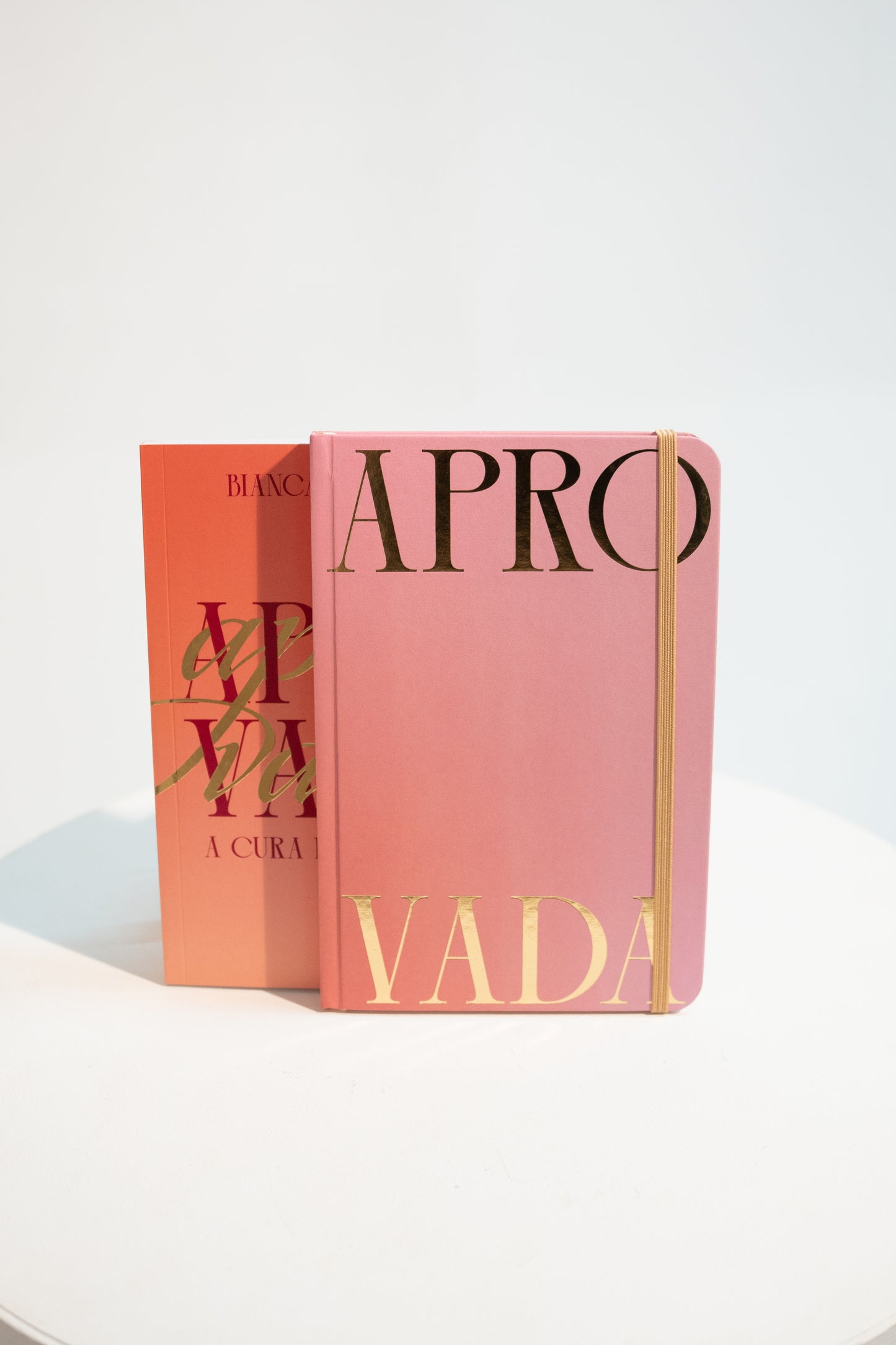 COMBO PROMOCIONAL: Livro e Caderno Moleskine