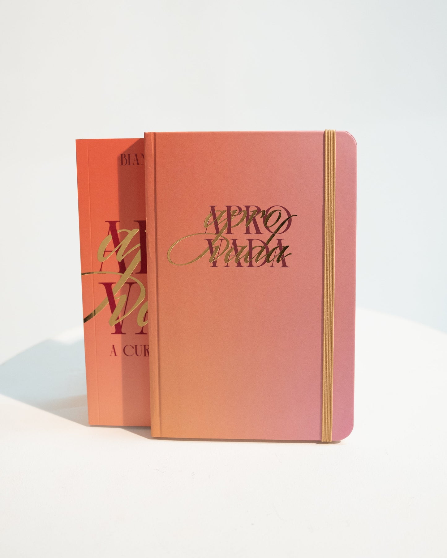 COMBO PROMOCIONAL: Livro e Caderno Moleskine