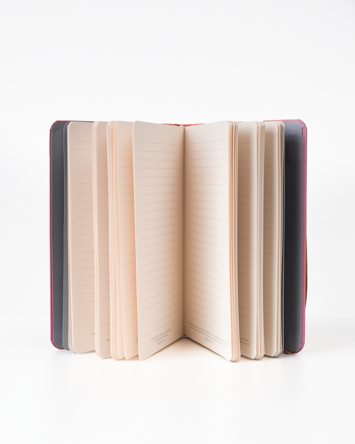 COMBO PROMOCIONAL: Livro e Caderno Moleskine