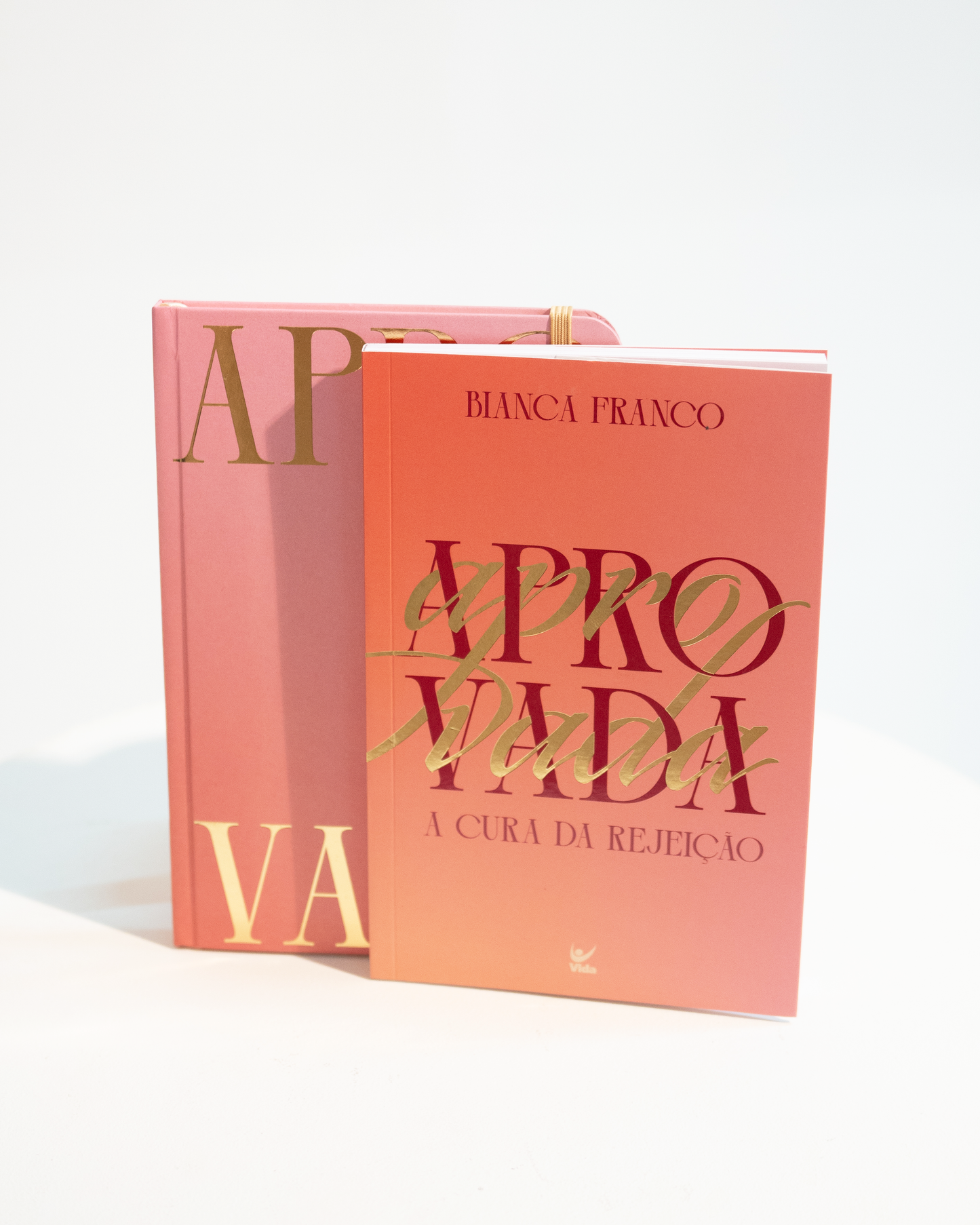 COMBO PROMOCIONAL: Livro e Caderno Moleskine